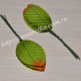 Листики (разные)