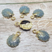 Морская ракушка