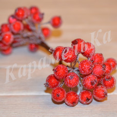 Калина в сахаре Красная