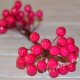Калина глянцевая Малиновая